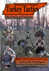 Eastern Wild Turkey Tactics